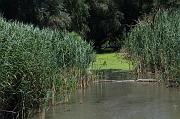 268-Delta del Danubio,7 agosto 2011